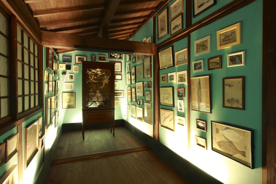 2026 小豆島 藝術作品地圖攻略|常設作品景點+交通 全整理 - 第61張圖 2026 小豆島 藝術作品地圖攻略|常設作品景點+交通 全整理