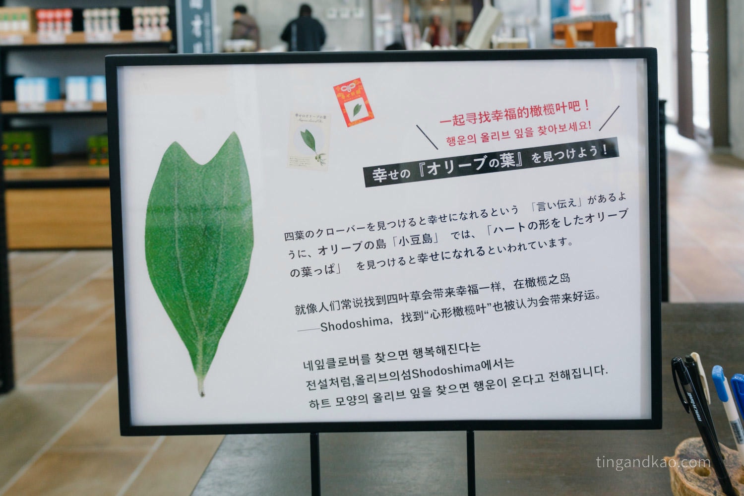 【小豆島橄欖公園】土產賣店必買伴手禮｜橄欖油、冰淇淋、魔法掃把體驗全攻略