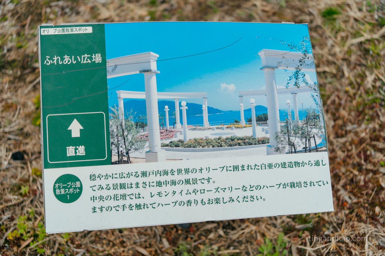 小豆島景點|橄欖公園完整攻略,7 大拍照點、交通、停留時間整理 - 第19張圖 小豆島景點|橄欖公園完整攻略,7 大拍照點、交通、停留時間整理