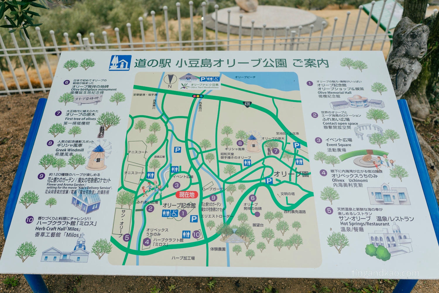 小豆島景點|橄欖公園完整攻略,7 大拍照點、交通、停留時間整理 - 第15張圖 小豆島景點|橄欖公園完整攻略,7 大拍照點、交通、停留時間整理