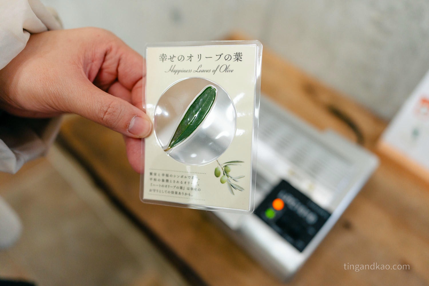 【小豆島橄欖公園】土產賣店必買伴手禮｜橄欖油、冰淇淋、魔法掃把體驗全攻略