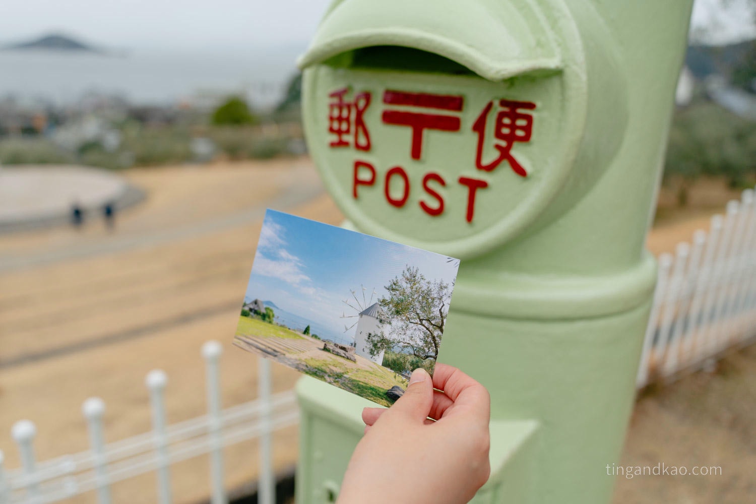 小豆島景點|橄欖公園完整攻略,7 大拍照點、交通、停留時間整理 - 第7張圖 小豆島景點|橄欖公園完整攻略,7 大拍照點、交通、停留時間整理