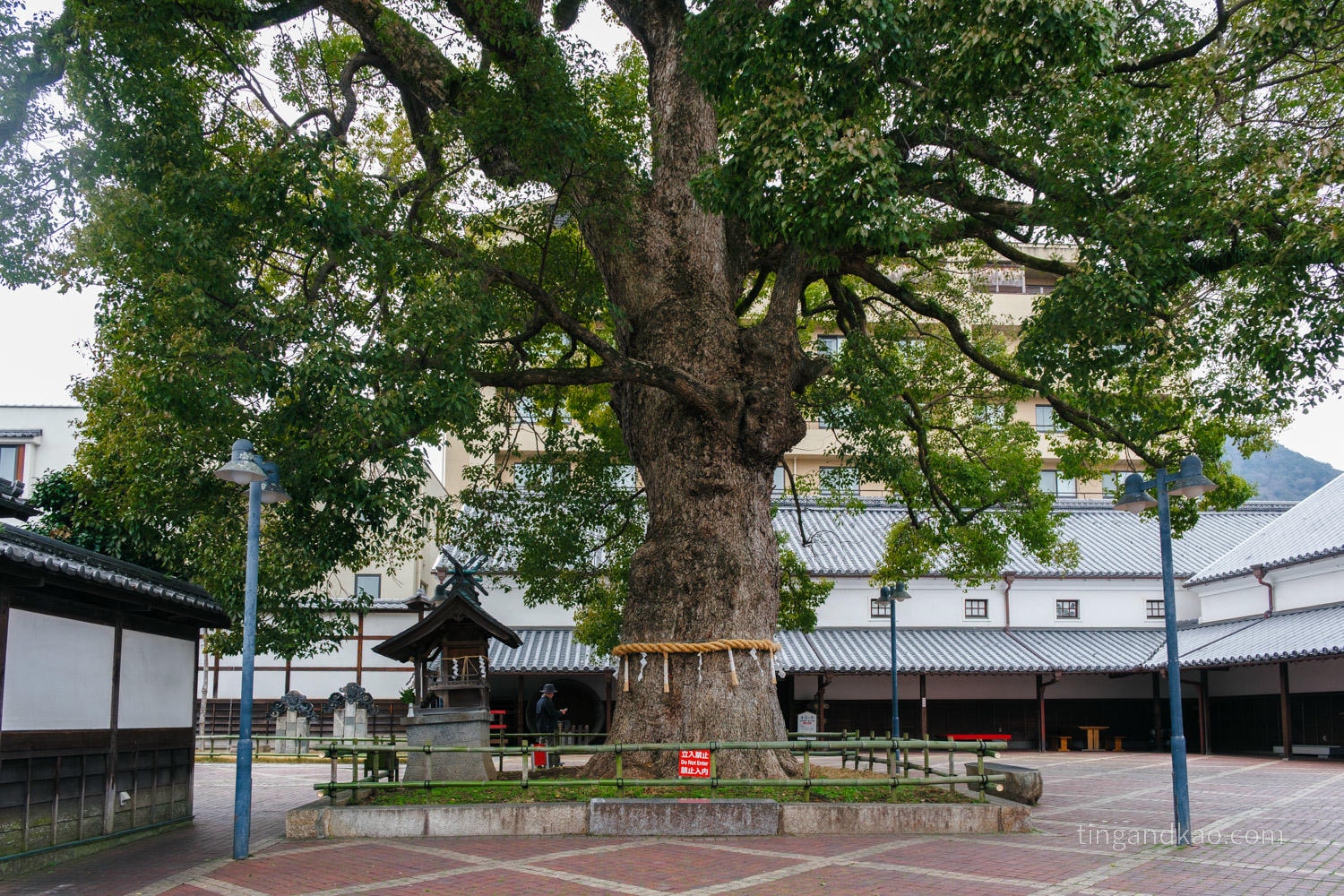 香川琴平商店街｜金陵之鄉：免費參觀的百年釀酒博物館，江戶時代清酒文化一次盡覽