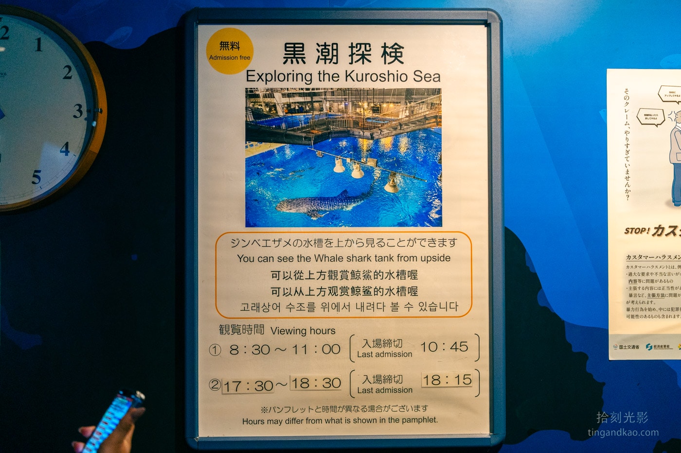 2026 沖繩美麗海水族館完整攻略|門票、交通、必看展區一次整理 - 第11張圖 沖繩美麗海水族館 黑潮探險資訊時間