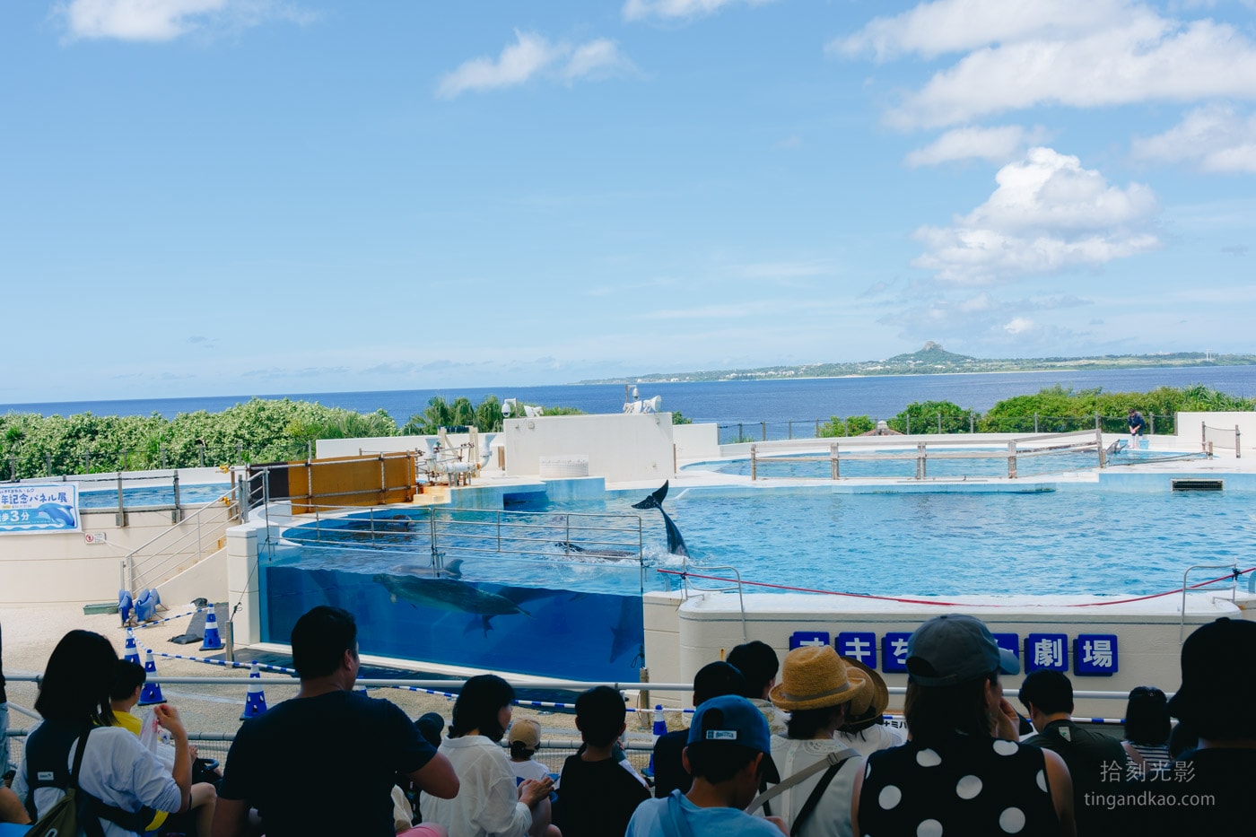 2026 沖繩美麗海水族館完整攻略|門票、交通、必看展區一次整理 - 第14張圖 沖繩美麗海水族館 Okichan 海豚劇場環境