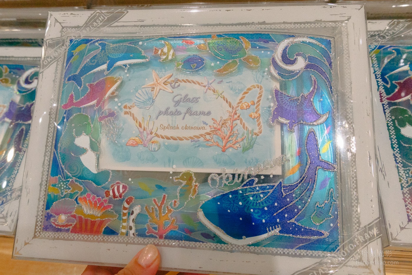 2026 沖繩美麗海水族館完整攻略|門票、交通、必看展區一次整理 - 第38張圖 沖繩美麗海水族館 Blue Manta 相框