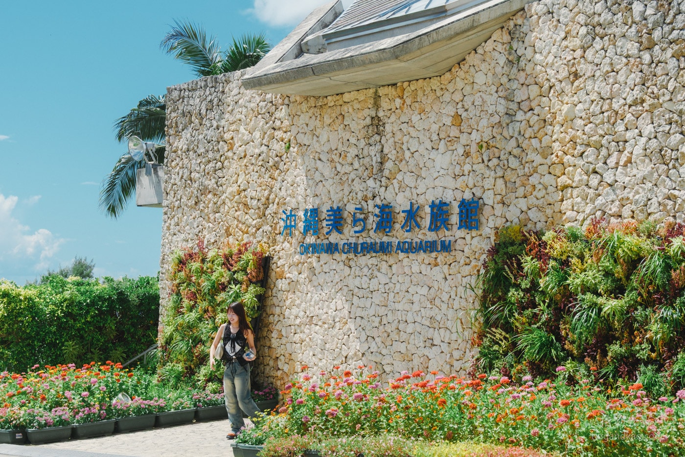 2026 沖繩美麗海水族館完整攻略|門票、交通、必看展區一次整理 - 第3張圖 沖繩美麗海水族館 正門口