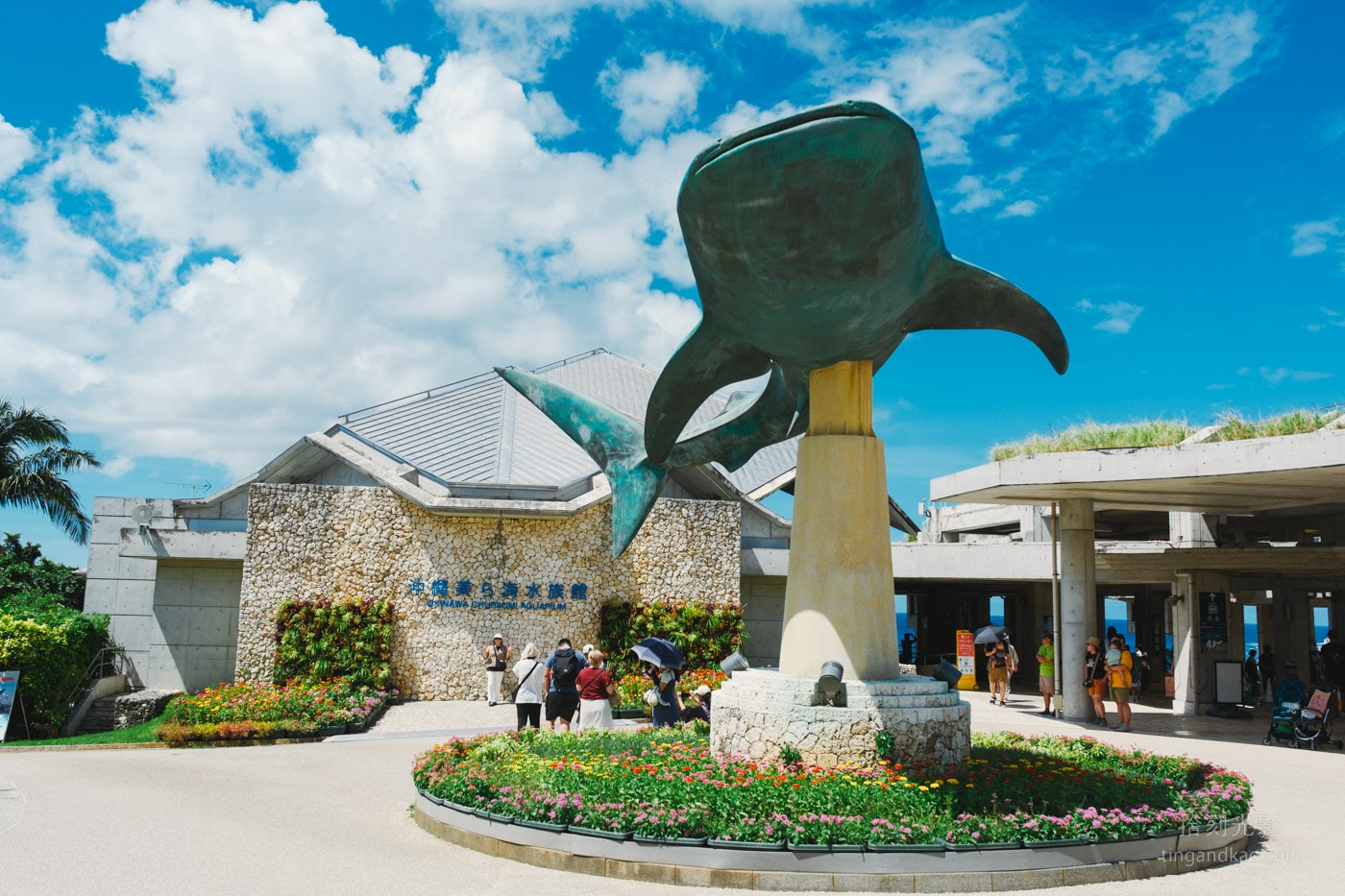 2026 沖繩美麗海水族館完整攻略|門票、交通、必看展區一次整理 - 第2張圖 沖繩美麗海水族館 正門口鯨鯊銅雕