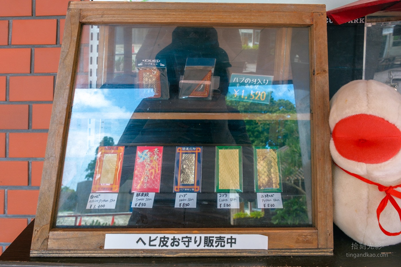 2026 沖繩玉泉洞&王國村|日本最長鐘乳石洞完整攻略,交通、票價、遊覽重點一次看 - 第96張圖 2026 沖繩玉泉洞&王國村|日本最長鐘乳石洞完整攻略,交通、票價、遊覽重點一次看