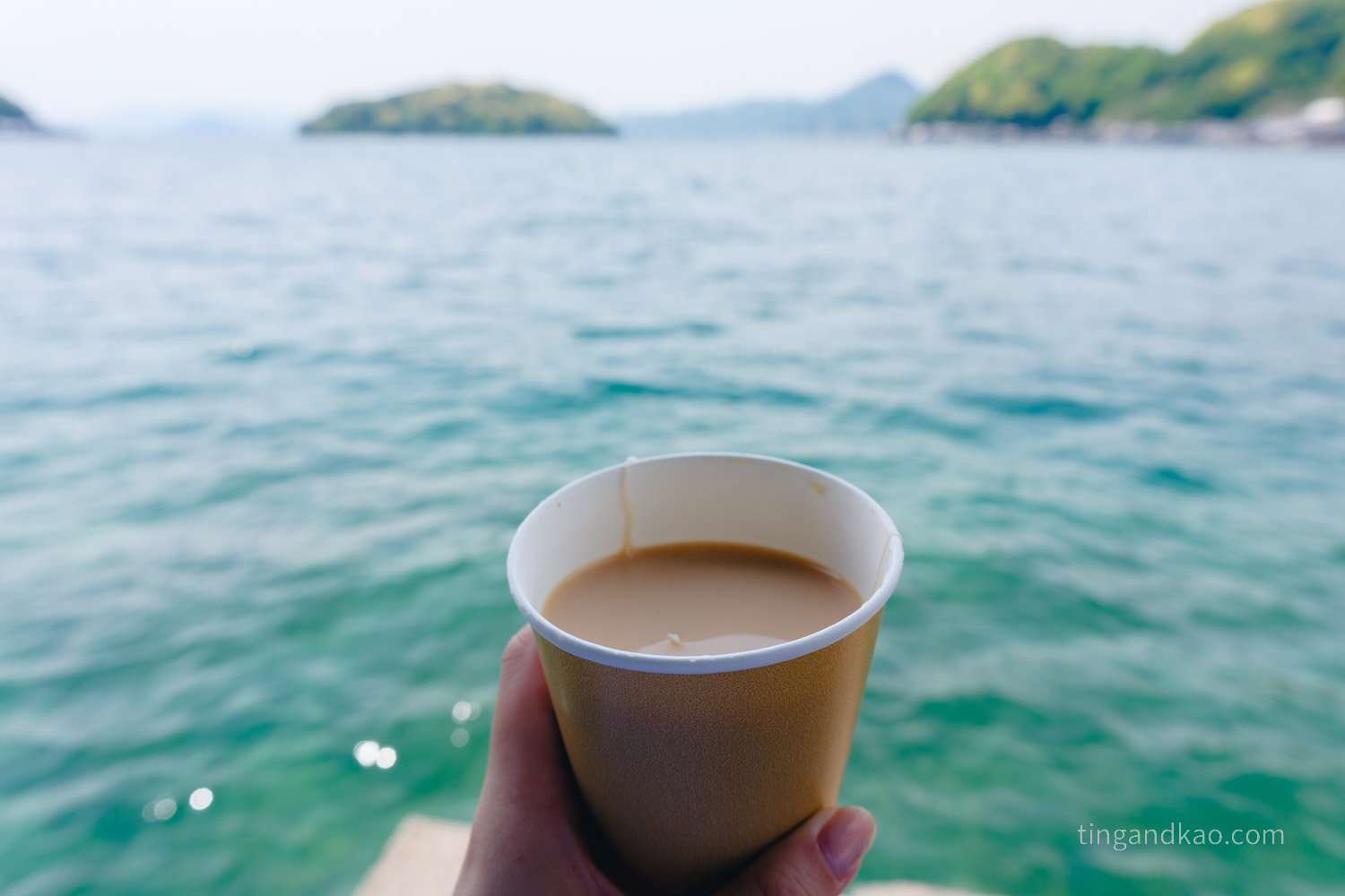 伊根咖啡廳|INE CAFE,坐在百年船屋喝咖啡、看伊根灣 - 第12張圖 伊根咖啡廳|INE CAFE,坐在百年船屋喝咖啡、看伊根灣