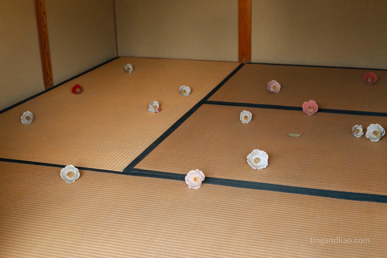 直島景點|家計畫 角屋「碁會所」 - 第11張圖 直島景點|家計畫 角屋「碁會所」