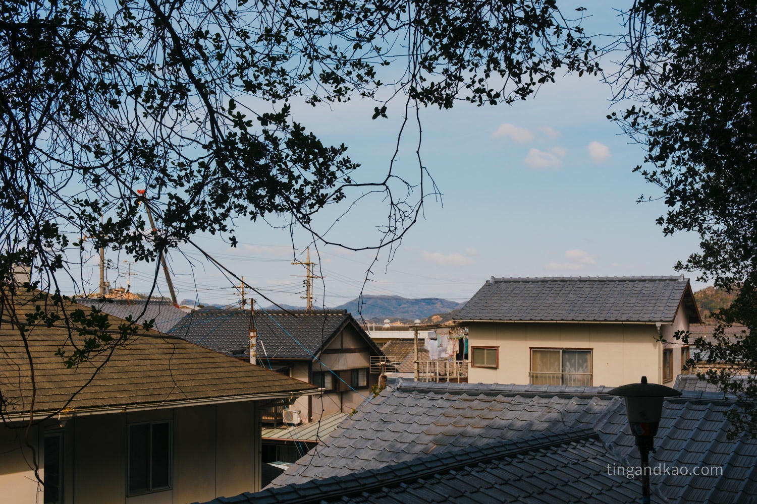 直島景點|家計畫「護王神社」:從鳥居走進地下石室,一場光與暗的藝術體驗 - 第4張圖 直島景點|家計畫「護王神社」:從鳥居走進地下石室,一場光與暗的藝術體驗