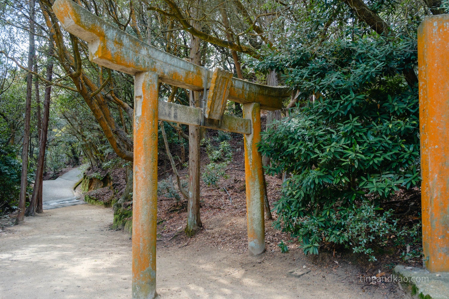 直島景點|家計畫「護王神社」:從鳥居走進地下石室,一場光與暗的藝術體驗 - 第5張圖 直島景點|家計畫「護王神社」:從鳥居走進地下石室,一場光與暗的藝術體驗