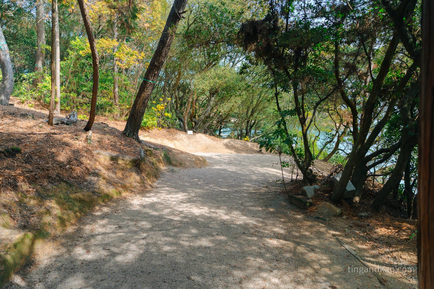 直島景點|家計畫「護王神社」:從鳥居走進地下石室,一場光與暗的藝術體驗 - 第10張圖 直島景點|家計畫「護王神社」:從鳥居走進地下石室,一場光與暗的藝術體驗