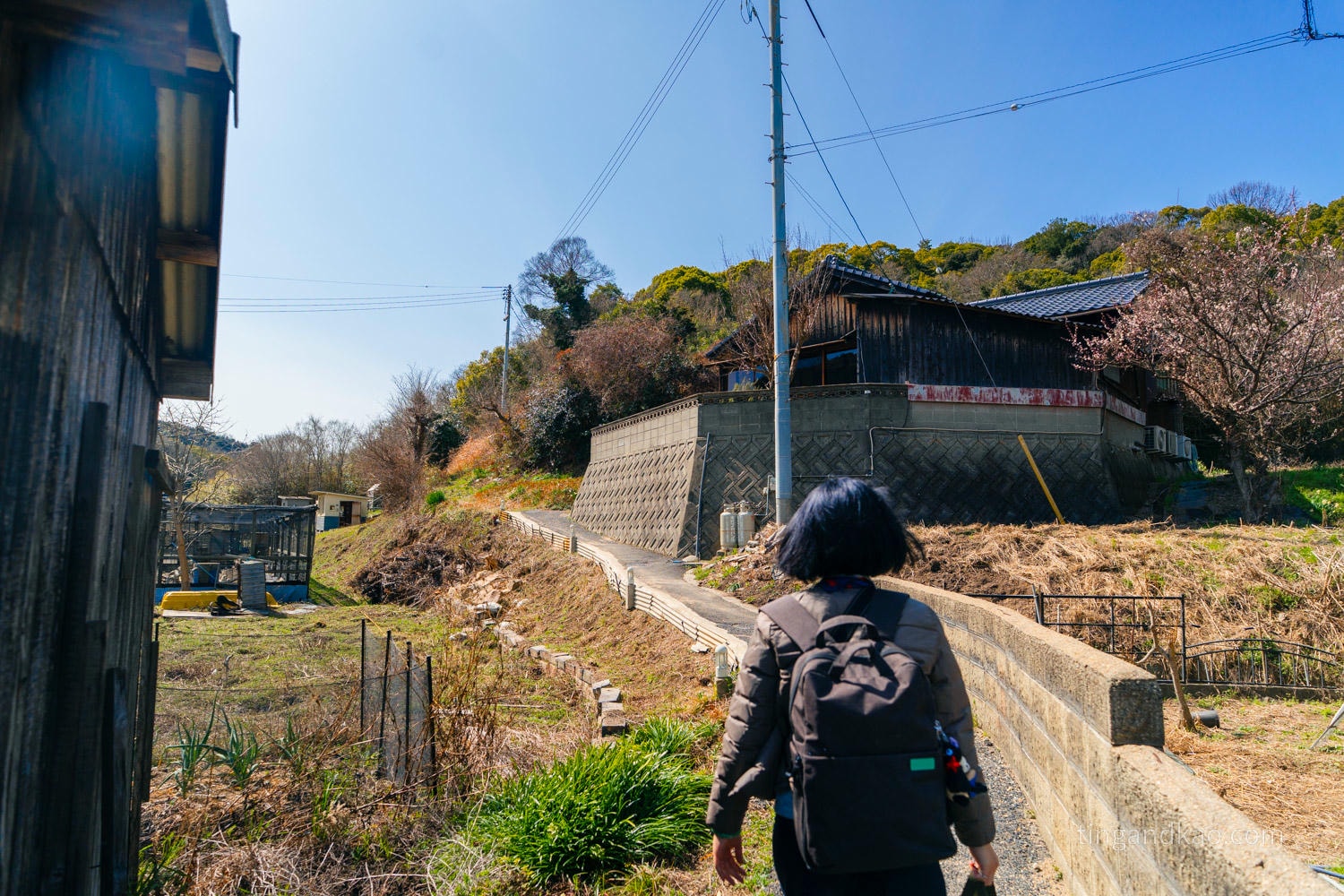 直島美食|カフェサロン中奥:古民家咖啡廳裡的直島最好吃咖哩蛋包飯 - 第4張圖 直島美食|カフェサロン中奥:古民家咖啡廳裡的直島最好吃咖哩蛋包飯