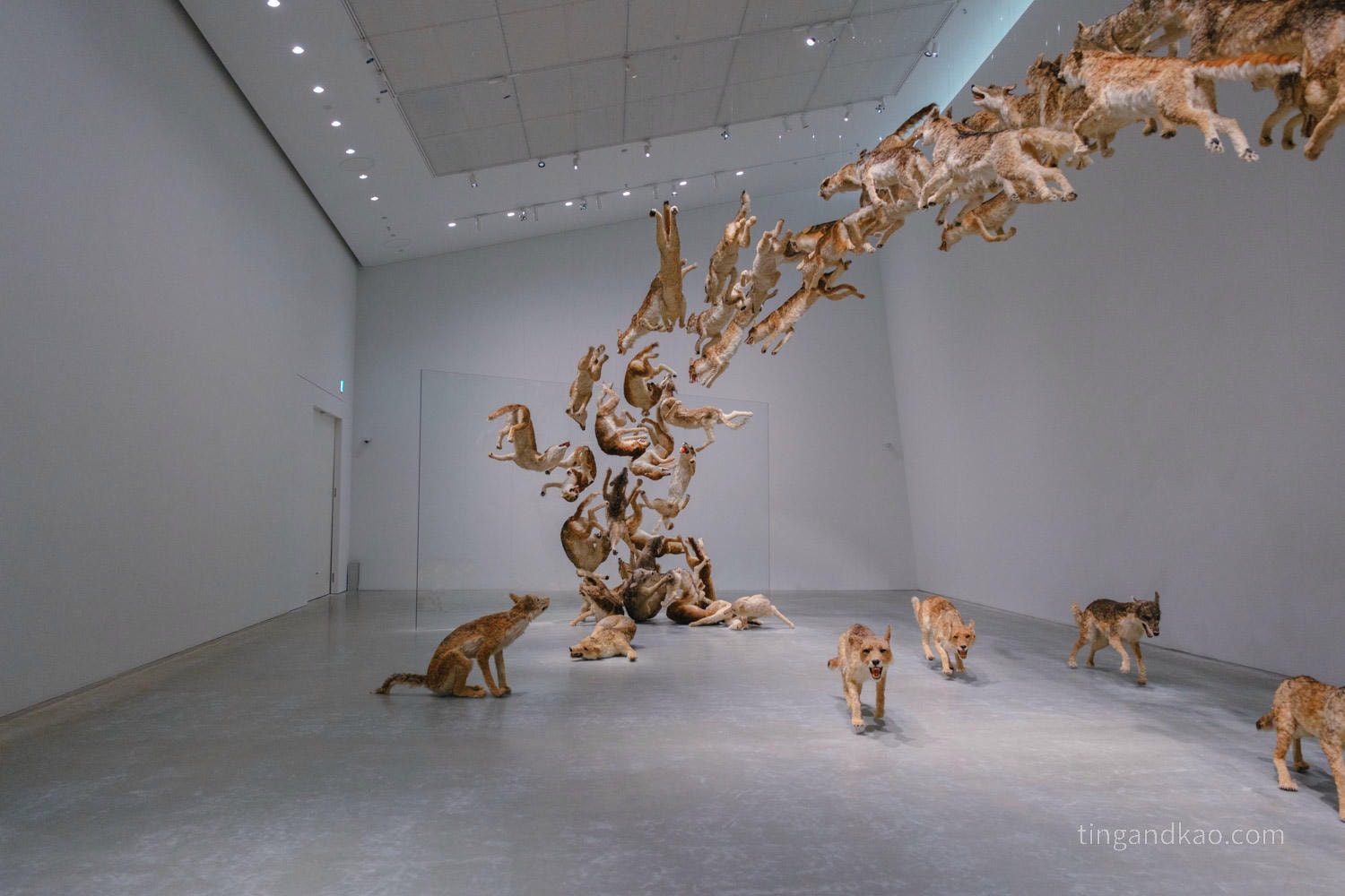 直島景點|直島新美術館:安藤忠雄✕亞洲當代藝術的全新地標 - 第22張圖 直島景點|直島新美術館:安藤忠雄✕亞洲當代藝術的全新地標