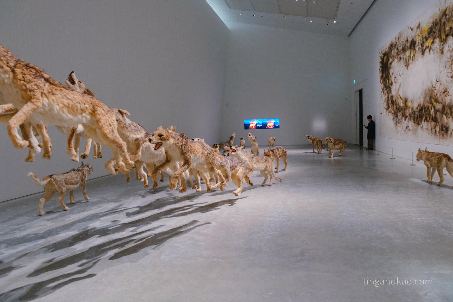 直島景點|直島新美術館:安藤忠雄✕亞洲當代藝術的全新地標 - 第23張圖 直島景點|直島新美術館:安藤忠雄✕亞洲當代藝術的全新地標
