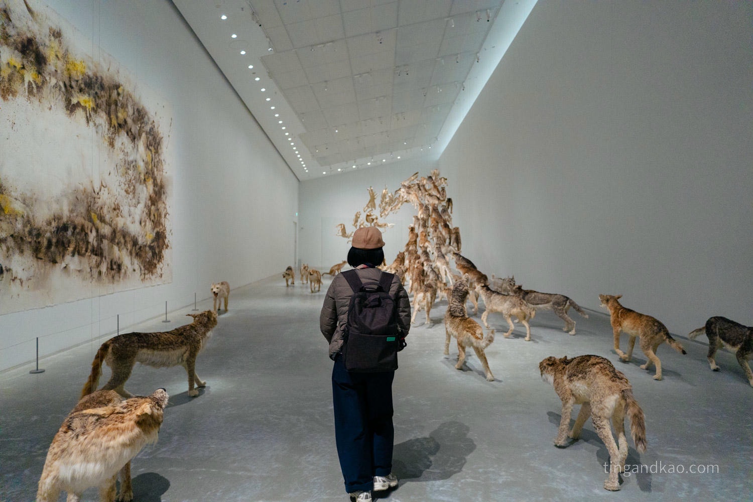 直島景點|直島新美術館:安藤忠雄✕亞洲當代藝術的全新地標 - 第25張圖 直島景點|直島新美術館:安藤忠雄✕亞洲當代藝術的全新地標