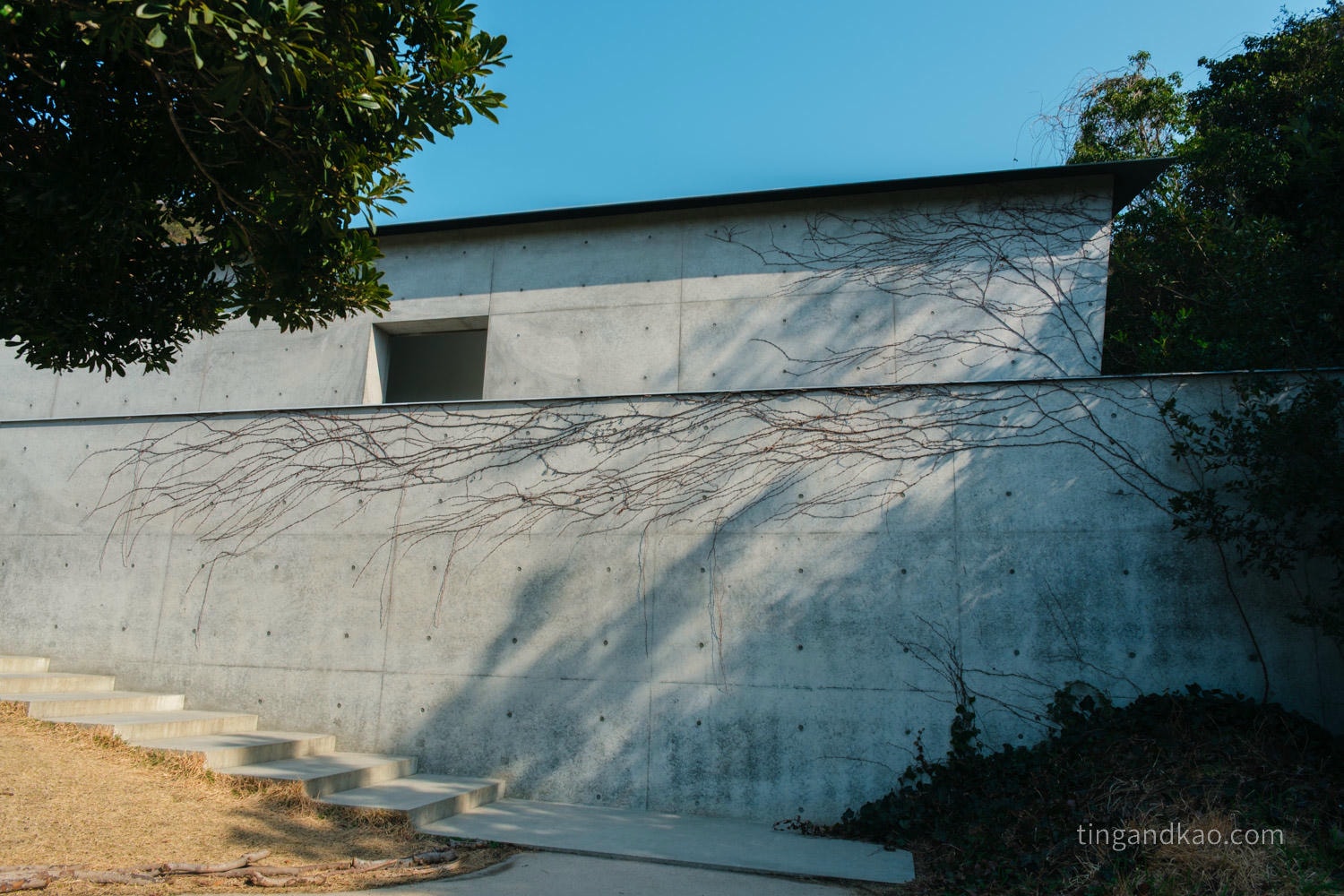 2026直島必訪|南岸三大藝術館+黃南瓜完整攻略 - 第9張圖 2026直島必訪|南岸三大藝術館+黃南瓜完整攻略