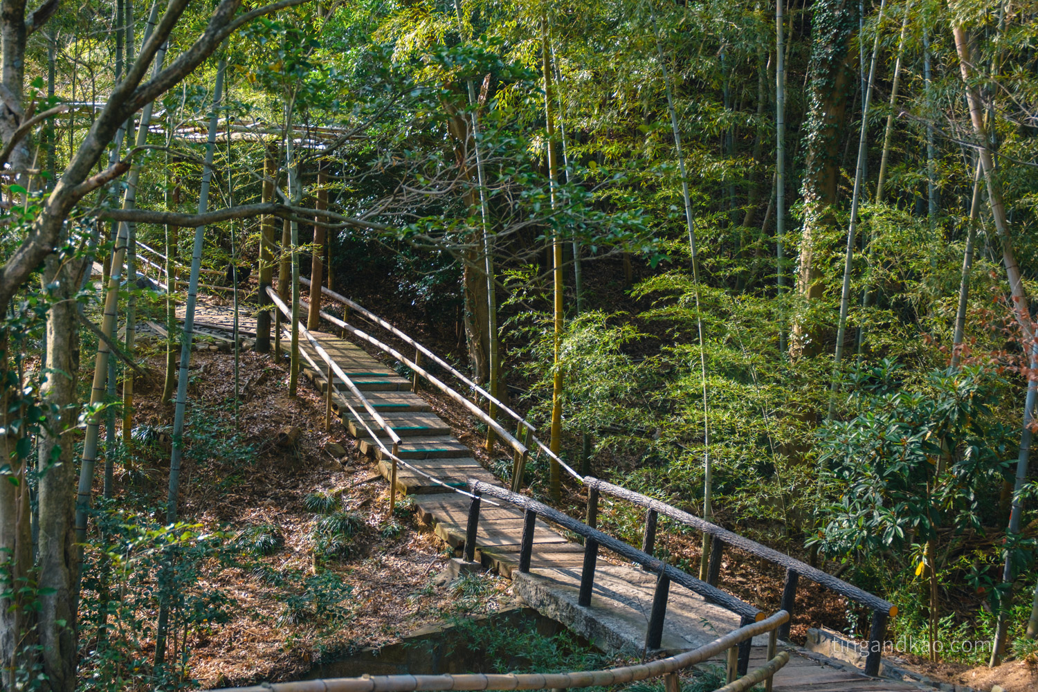 屋島四國村｜高松屋島山麓必訪景點，半日漫遊古民家與藝術建築