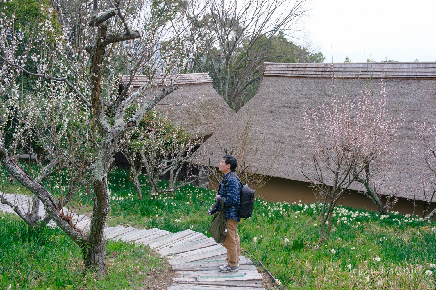 屋島四國村｜高松屋島山麓必訪景點，半日漫遊古民家與藝術建築