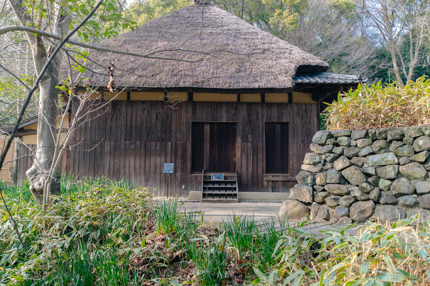 香川高松屋島完整攻略｜瀨戶內海絕景、在地美食一日遊