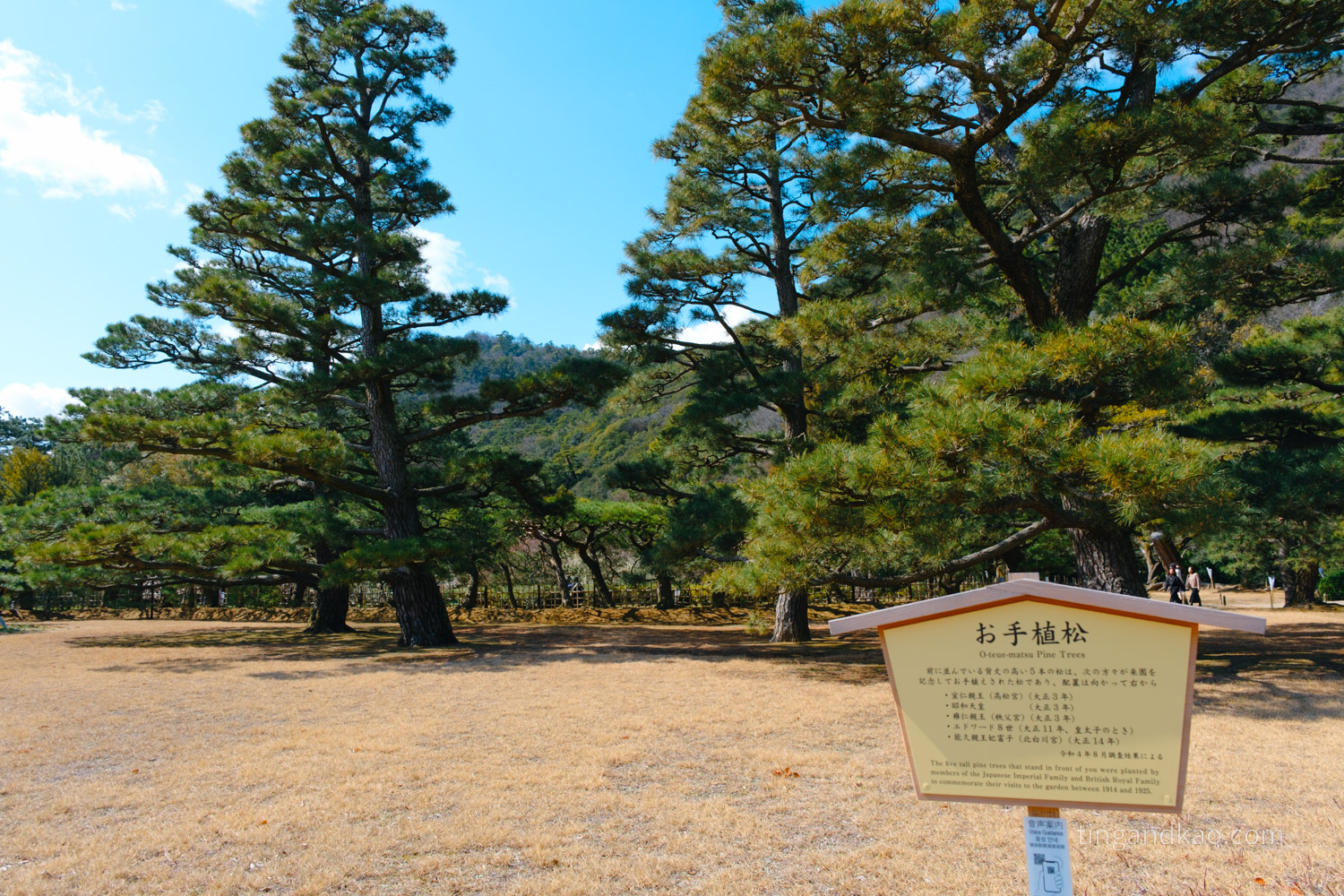 高松景點｜栗林公園 日本特別名勝，高松最美的回遊式庭園完整散步攻略