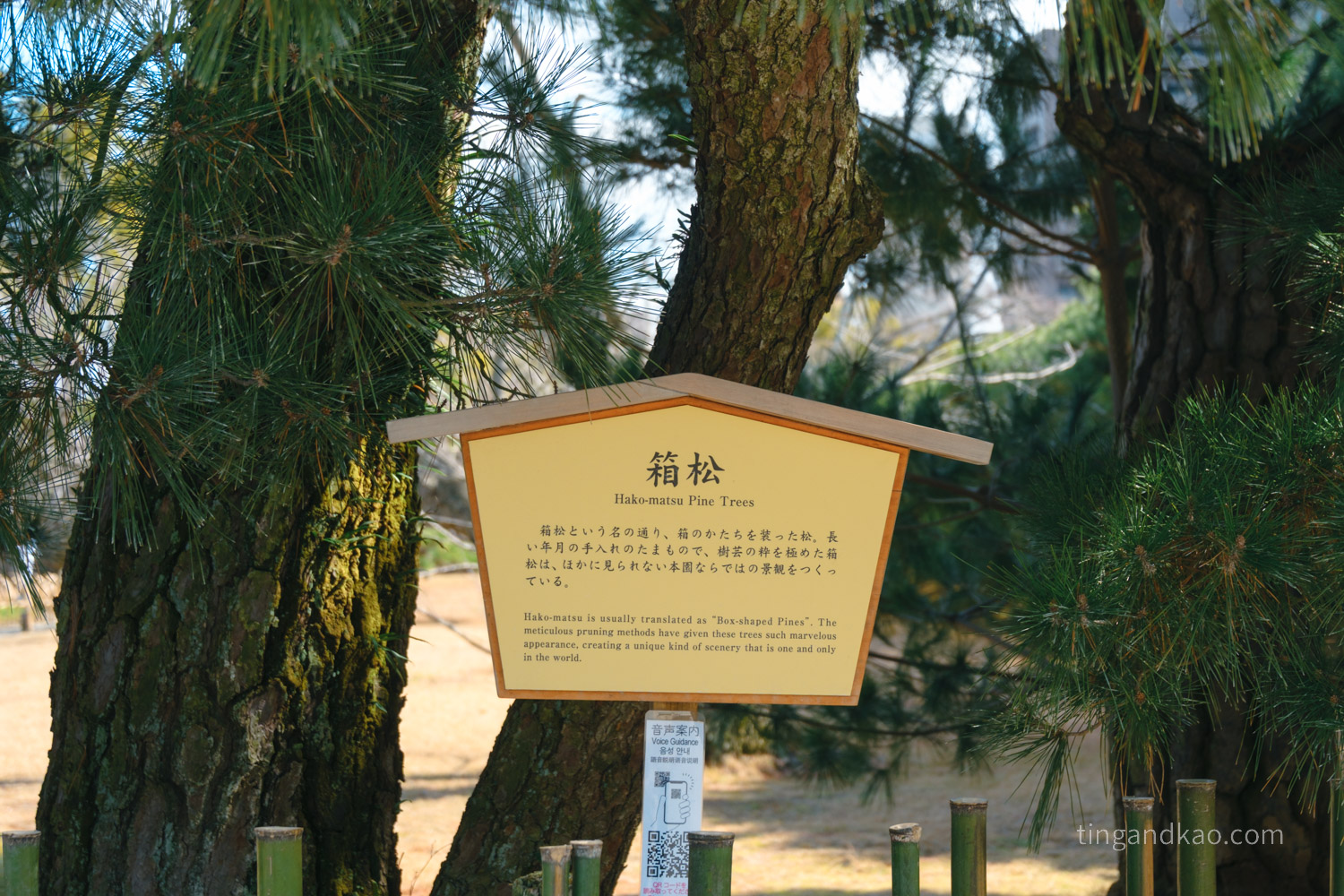高松景點｜栗林公園 日本特別名勝，高松最美的回遊式庭園完整散步攻略