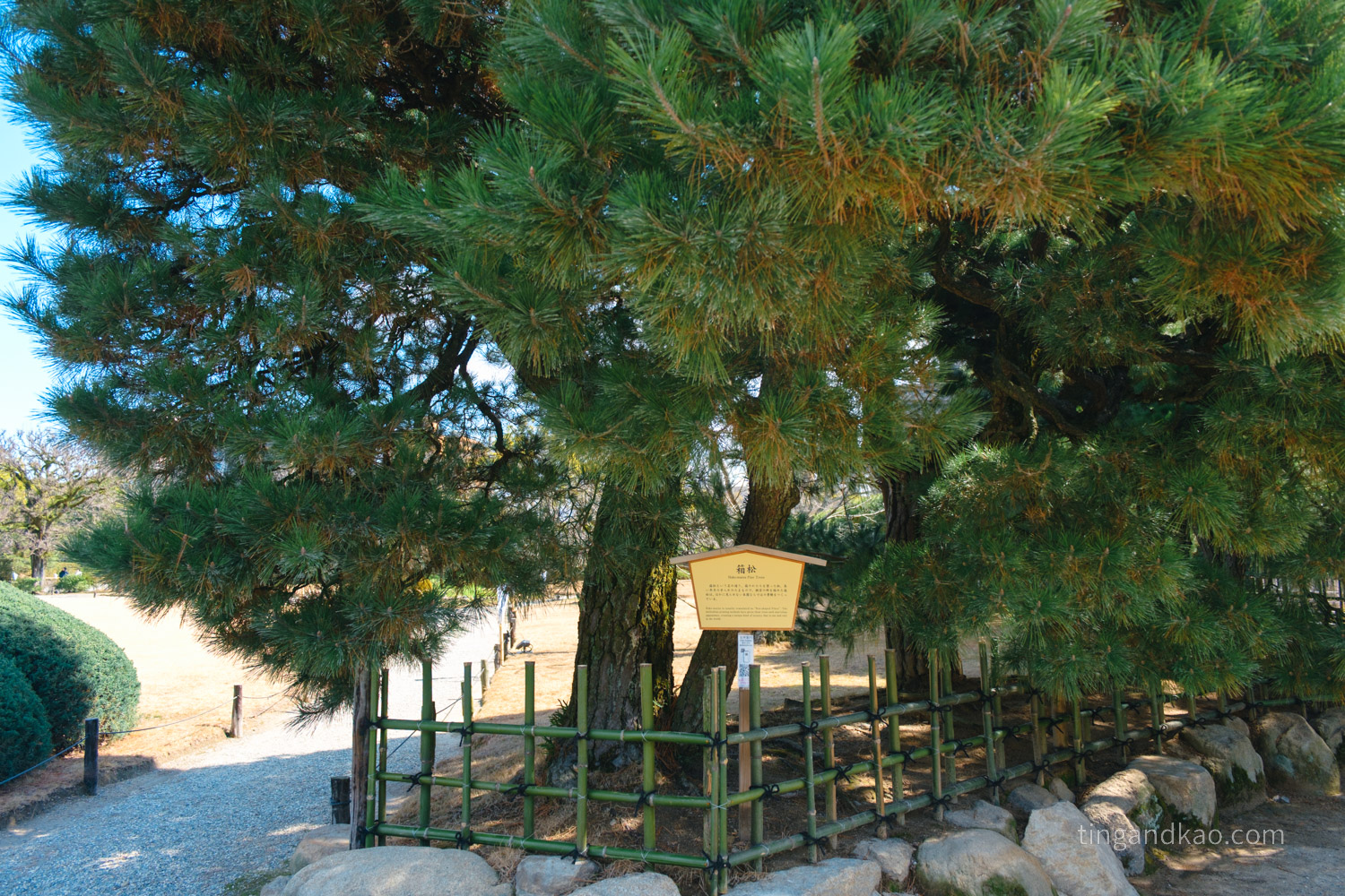 高松景點｜栗林公園 日本特別名勝，高松最美的回遊式庭園完整散步攻略
