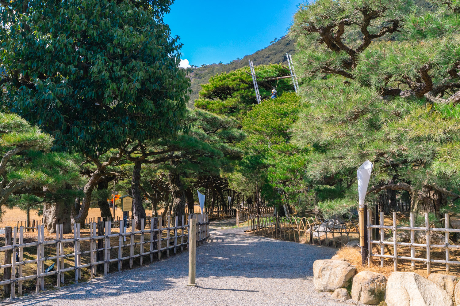高松景點｜栗林公園 日本特別名勝，高松最美的回遊式庭園完整散步攻略