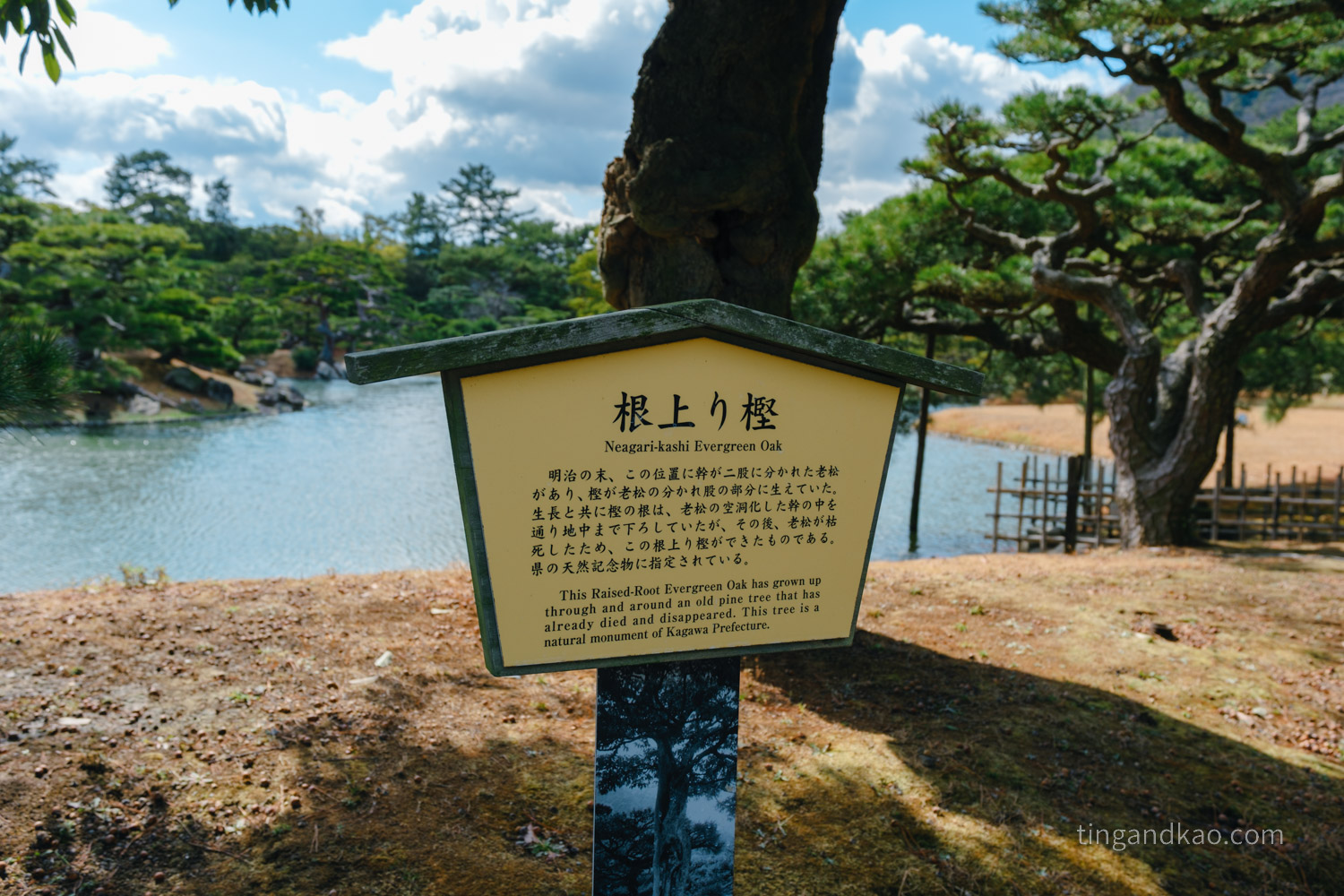 高松景點｜栗林公園 日本特別名勝，高松最美的回遊式庭園完整散步攻略