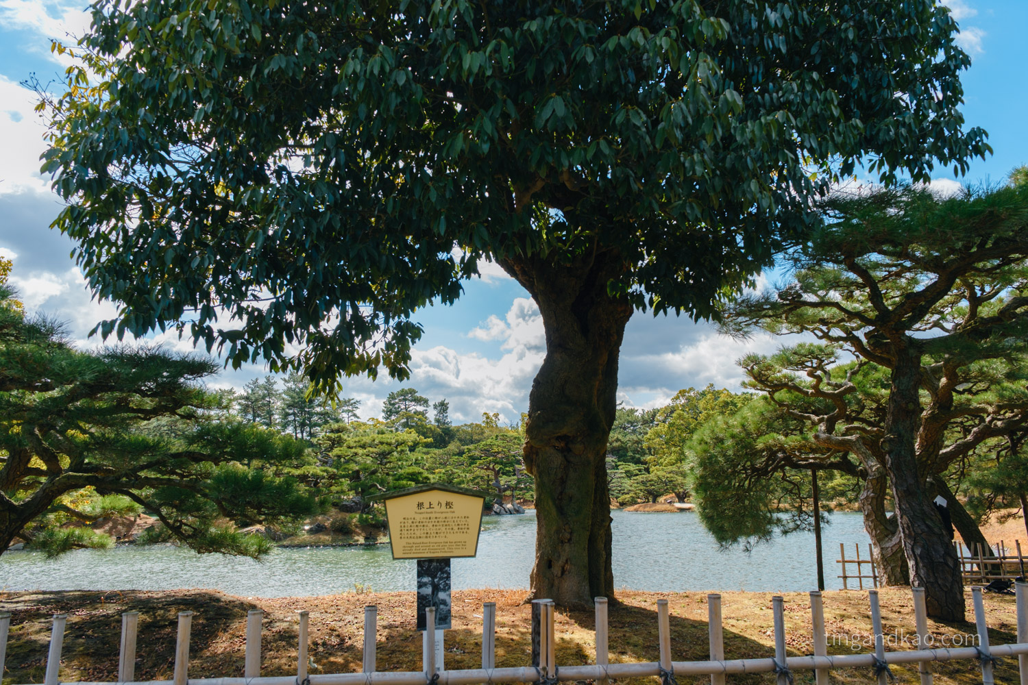高松景點｜栗林公園 日本特別名勝，高松最美的回遊式庭園完整散步攻略