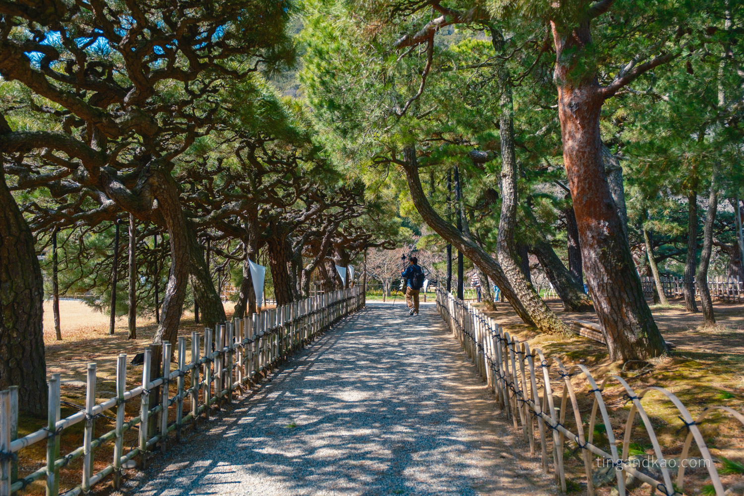 高松景點｜栗林公園 日本特別名勝，高松最美的回遊式庭園完整散步攻略