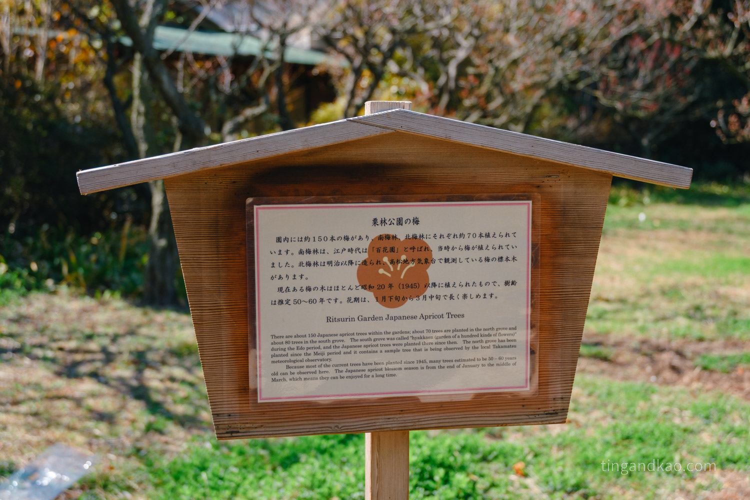 高松景點｜栗林公園 日本特別名勝，高松最美的回遊式庭園完整散步攻略