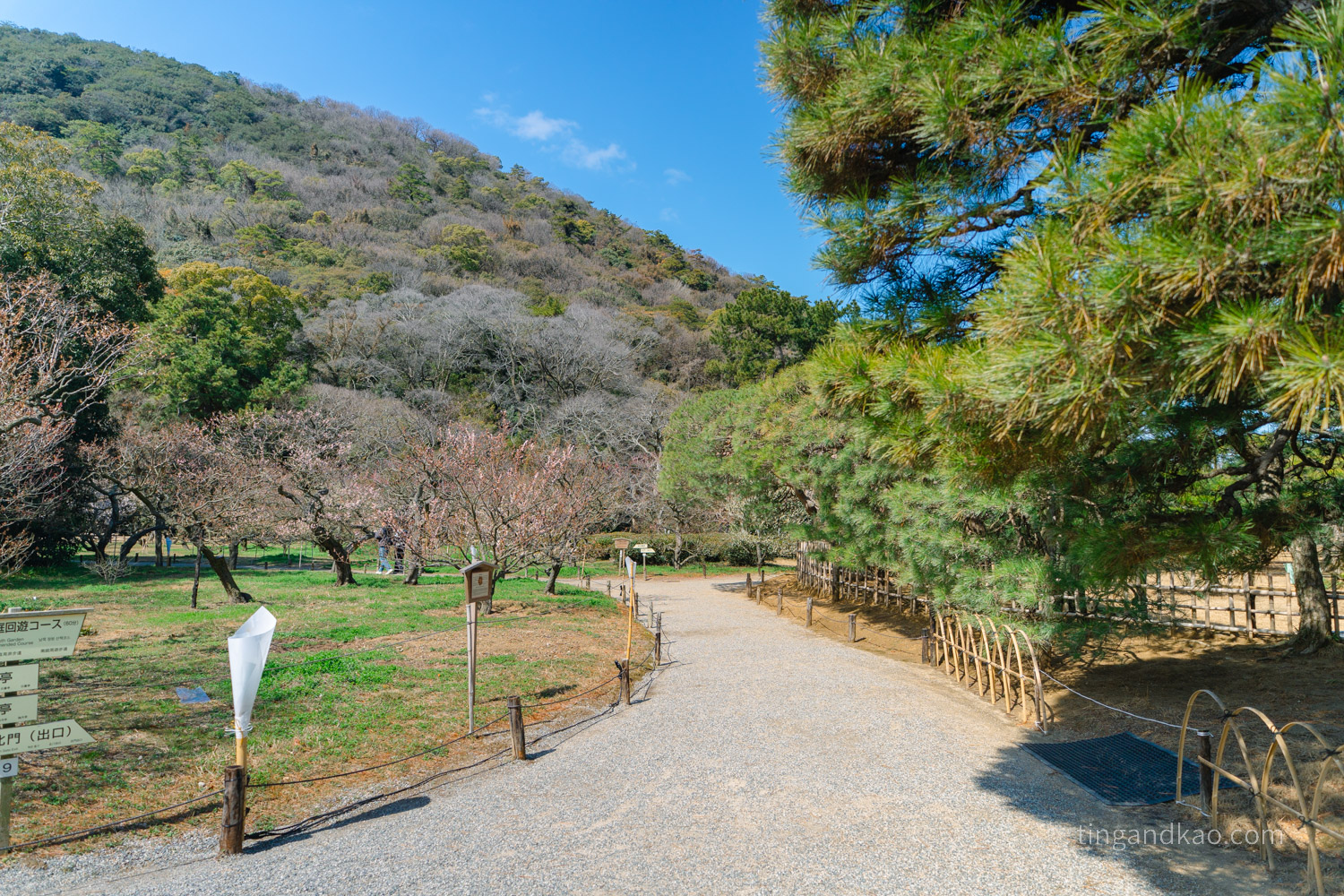 高松景點｜栗林公園 日本特別名勝，高松最美的回遊式庭園完整散步攻略