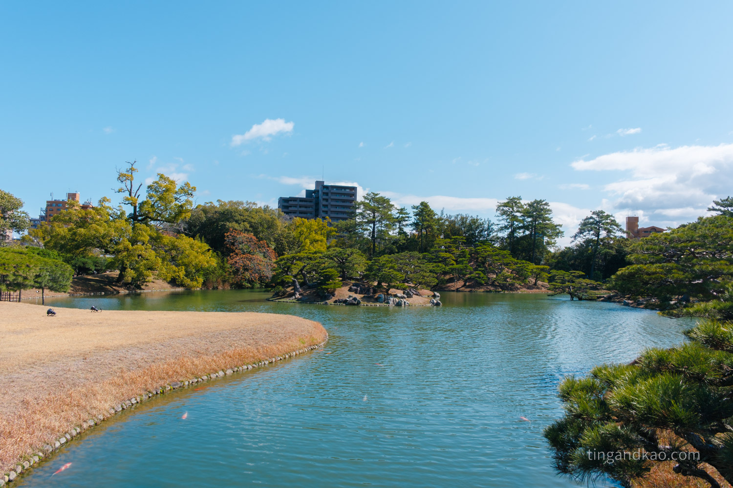 高松景點｜栗林公園 日本特別名勝，高松最美的回遊式庭園完整散步攻略