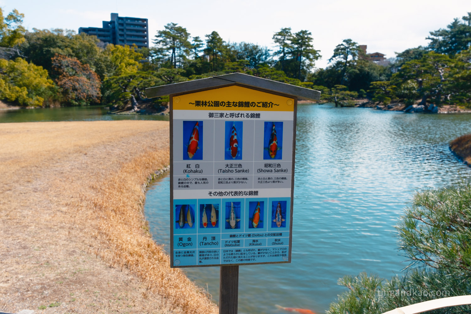 高松景點｜栗林公園 日本特別名勝，高松最美的回遊式庭園完整散步攻略
