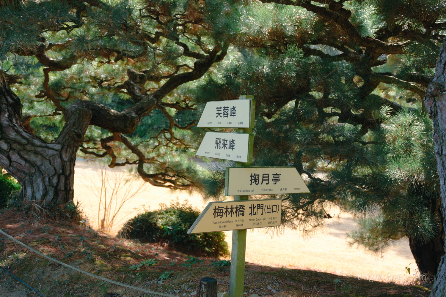 高松景點｜栗林公園 日本特別名勝，高松最美的回遊式庭園完整散步攻略