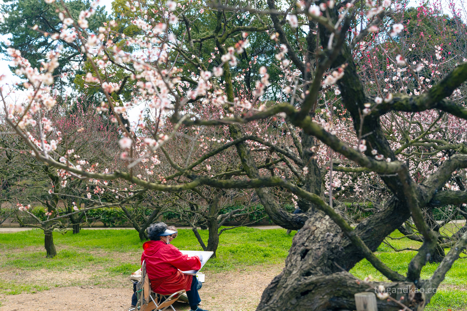 高松景點｜栗林公園 日本特別名勝，高松最美的回遊式庭園完整散步攻略
