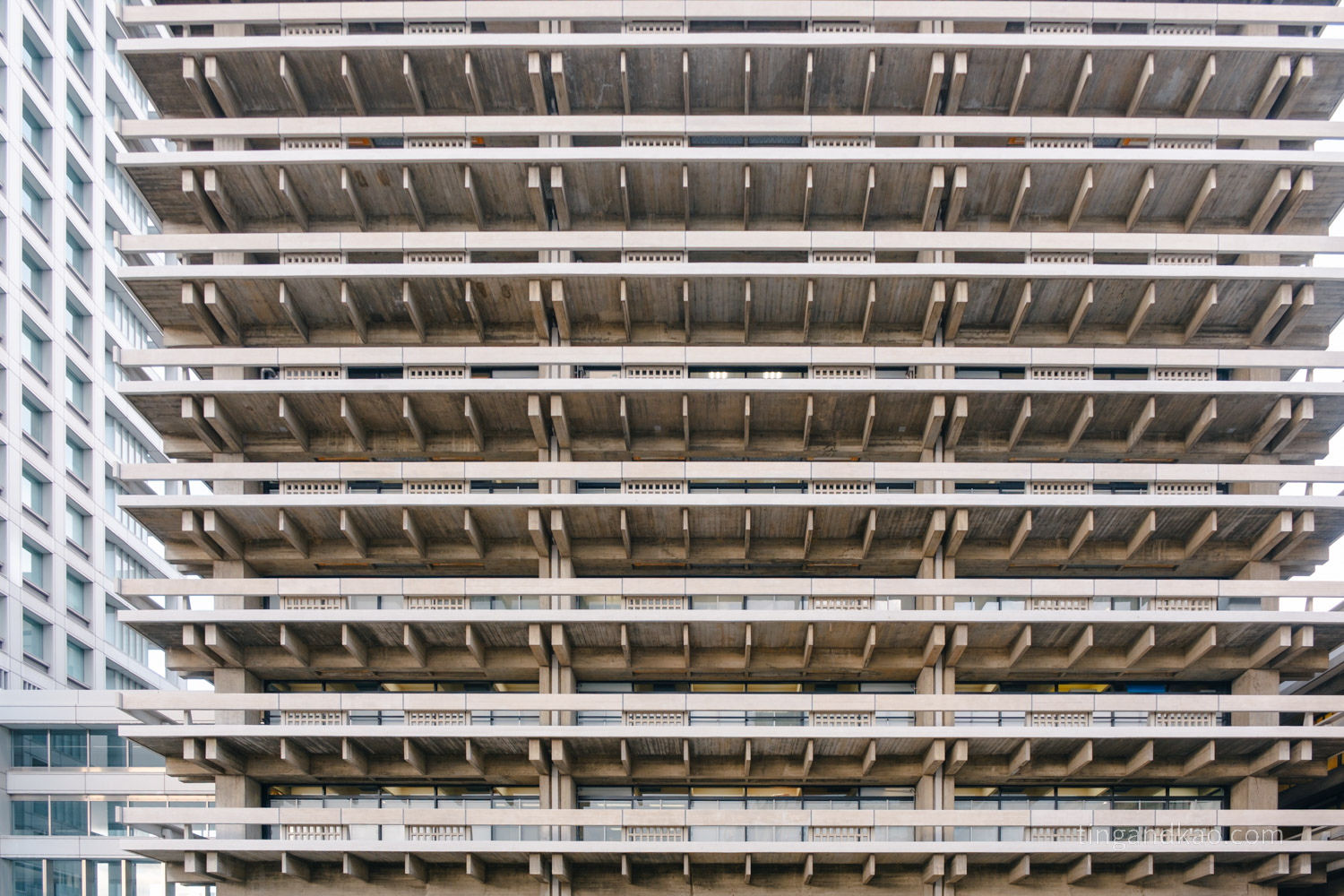 香川縣政廳｜來高松不能錯過的免費景點，建築控必訪