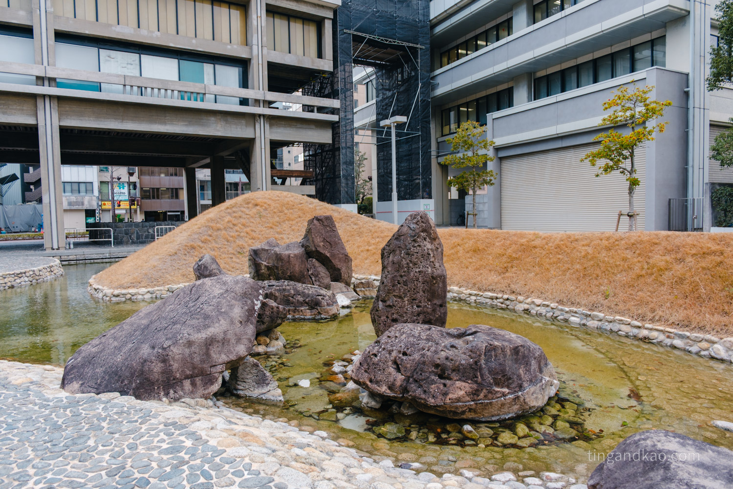 香川縣政廳｜來高松不能錯過的免費景點，建築控必訪