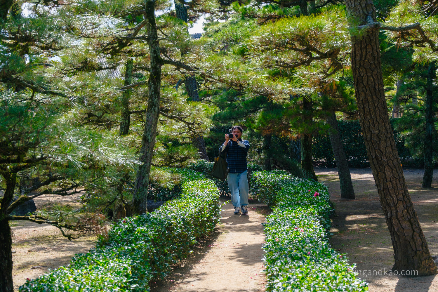 高松景點|玉藻公園(高松城跡)交通、門票、必看重點整理 - 第18張圖 高松景點|玉藻公園(高松城跡)交通、門票、必看重點整理