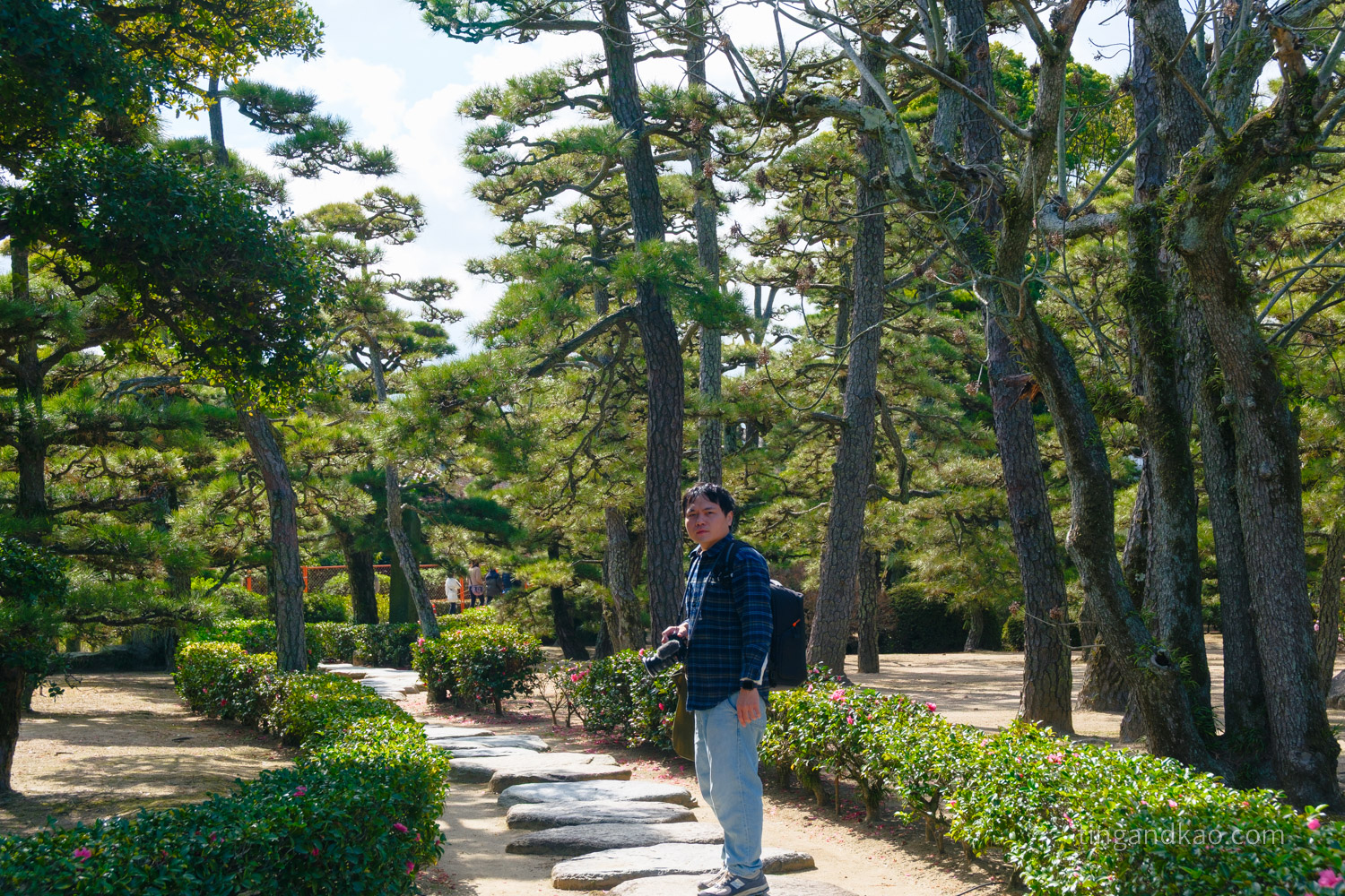高松景點|玉藻公園(高松城跡)交通、門票、必看重點整理 - 第19張圖 高松景點|玉藻公園(高松城跡)交通、門票、必看重點整理