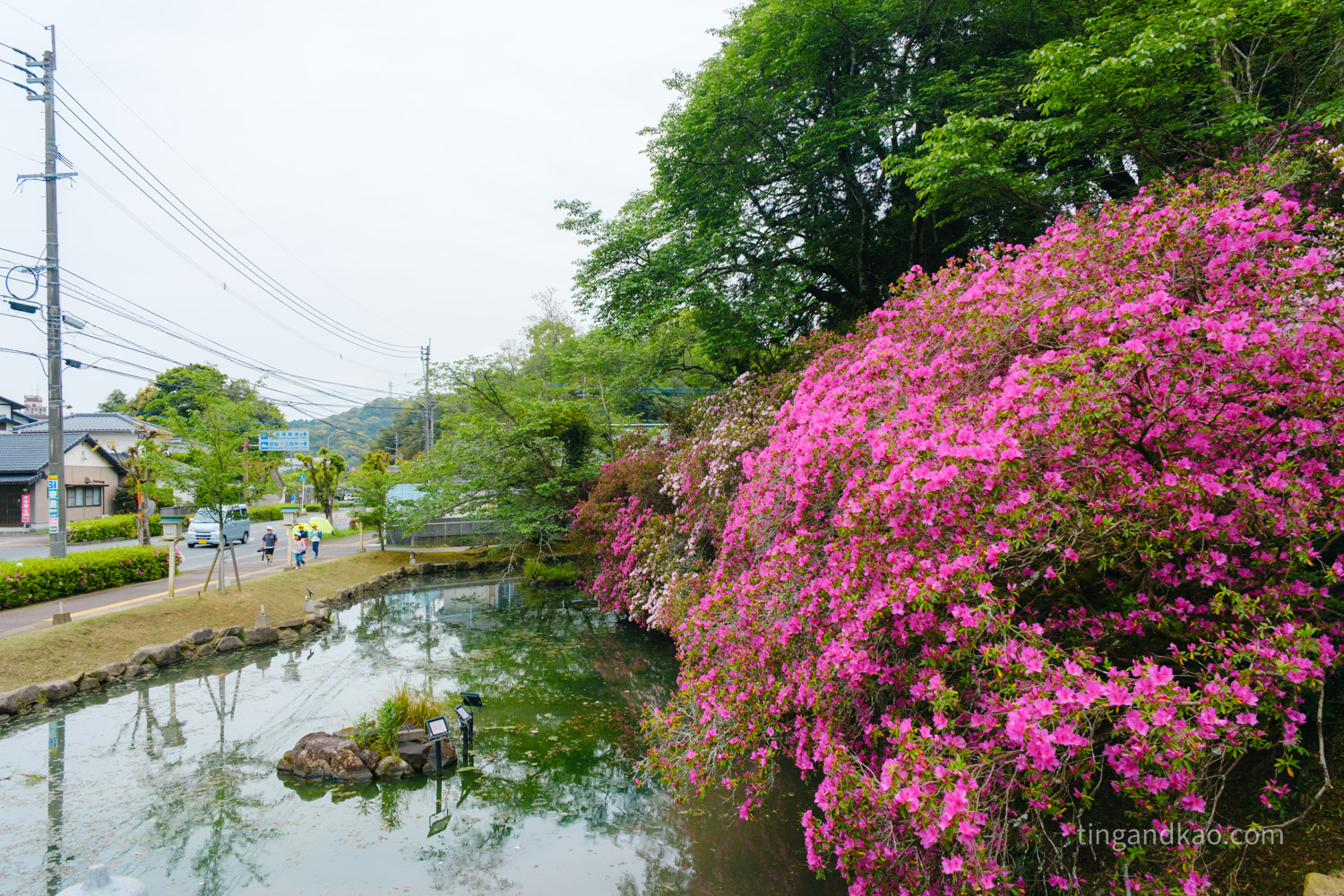 佐賀武雄景點 | 武雄神社,交通、參拜重點、御守全攻略 - 第6張圖 佐賀武雄景點 | 武雄神社,交通、參拜重點、御守全攻略