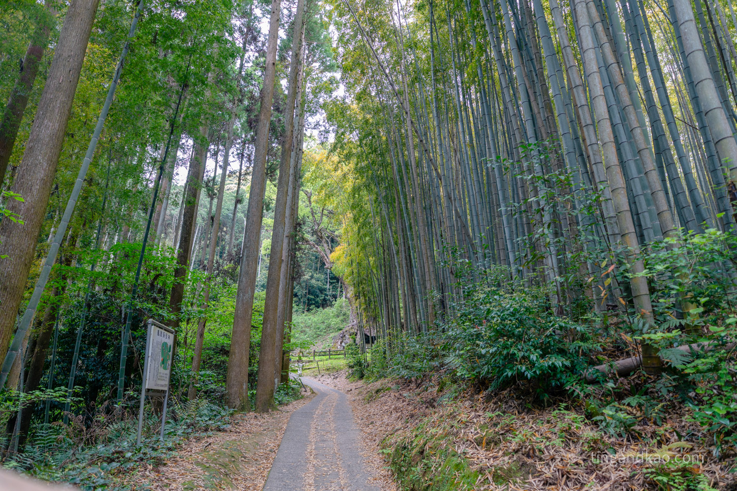 佐賀武雄景點 | 武雄神社,交通、參拜重點、御守全攻略 - 第31張圖 佐賀武雄景點 | 武雄神社,交通、參拜重點、御守全攻略