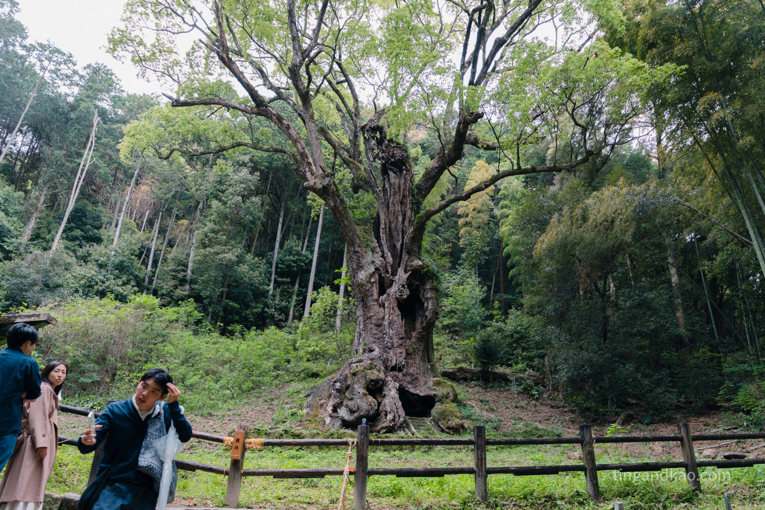 佐賀武雄景點 | 武雄神社,交通、參拜重點、御守全攻略 - 第33張圖 佐賀武雄景點 | 武雄神社,交通、參拜重點、御守全攻略