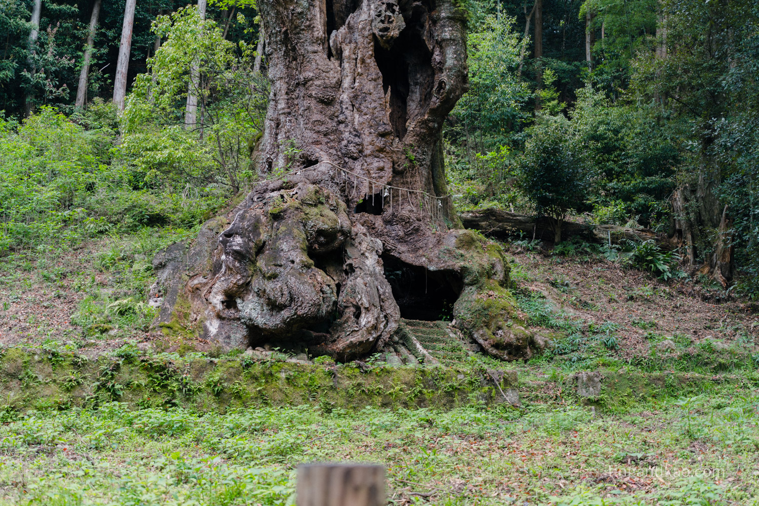 佐賀武雄景點 | 武雄神社,交通、參拜重點、御守全攻略 - 第34張圖 佐賀武雄景點 | 武雄神社,交通、參拜重點、御守全攻略