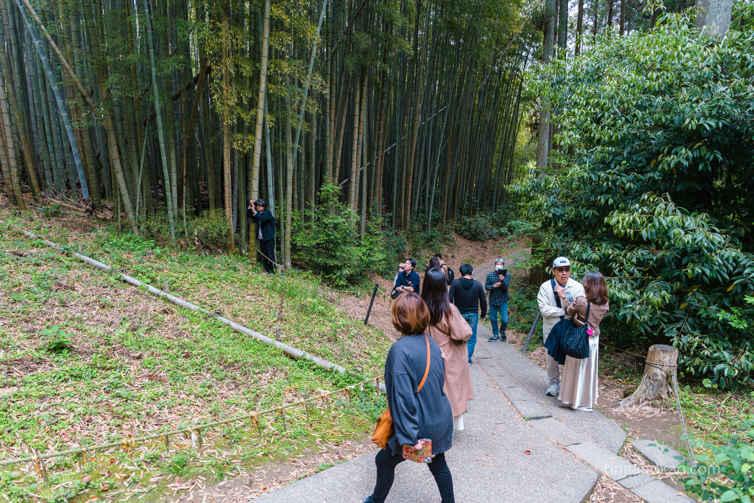 佐賀武雄景點 | 武雄神社,交通、參拜重點、御守全攻略 - 第32張圖 佐賀武雄景點 | 武雄神社,交通、參拜重點、御守全攻略