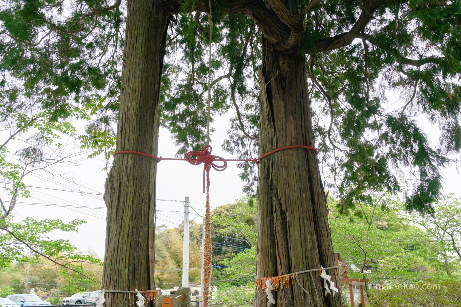 佐賀武雄景點 | 武雄神社,交通、參拜重點、御守全攻略 - 第38張圖 佐賀武雄景點 | 武雄神社,交通、參拜重點、御守全攻略