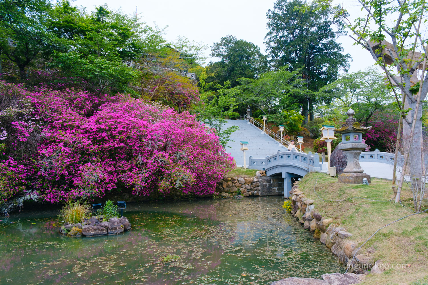 佐賀武雄景點 | 武雄神社,交通、參拜重點、御守全攻略 - 第5張圖 佐賀武雄景點 | 武雄神社,交通、參拜重點、御守全攻略